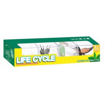 LIFE CYCLE-BUTTERFLY - Image 3